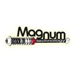 Pokaż produkty magnum technology